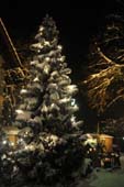 ROE_8464