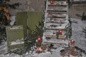 ROE_8469